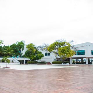 TERRAZA LOS ALMENDROS - Galerías de imágenes - Club Naval